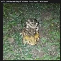 1755378311469
