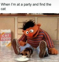 Every time v0 oeamglatwlif1