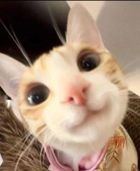 E9b3c0e563685f9c12de973d3bf66f9d