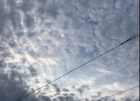 IMG 7154