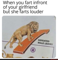 1756101135879