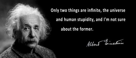 Albert einstein speaks about human stupidity daniel hagerman