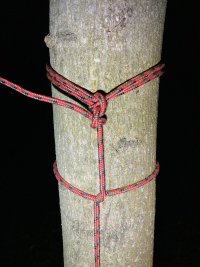IMG 7752
