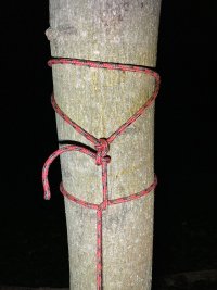 IMG 7766