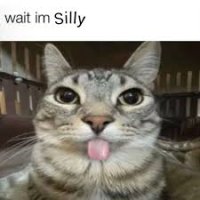 images.jpeg