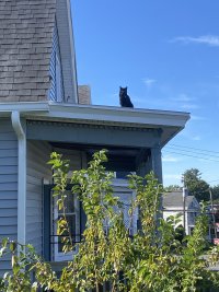 IMG_2776.jpeg
