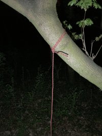 IMG 7857