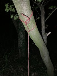 IMG 7859