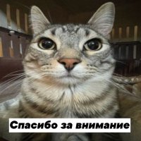 1756350842453 1756350842453