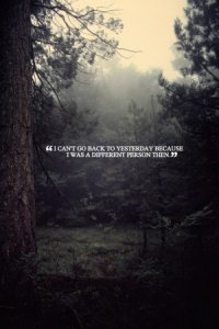 1993533934 tumblr meqyfh9LR61qmf9h4o1 1280