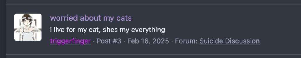 Screenshot 2025 08 28 at 20316AM Screenshot 2025 08 28 at 20316AM