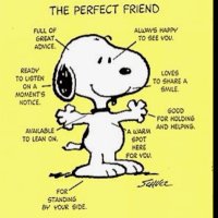 500799be9a345862b9ee67409a6ebf6e