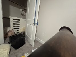 IMG 0326