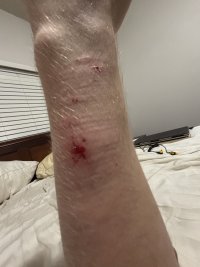 IMG 0324