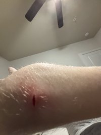 IMG 0325
