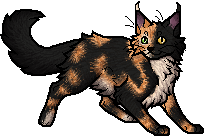 Moonpaw CSapprentice