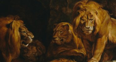 LF TWiss Why Aslan Was a Lion