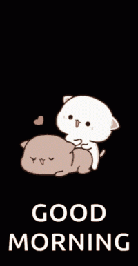 Morning