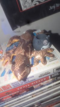 1000003053