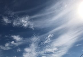 IMG 7271