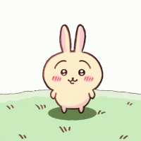 Chiikawa usagi