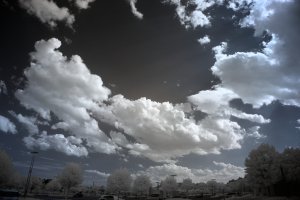 DSCF0220 01