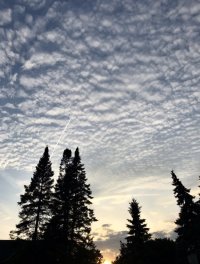 IMG 7309
