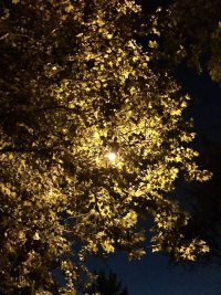 IMG 7327