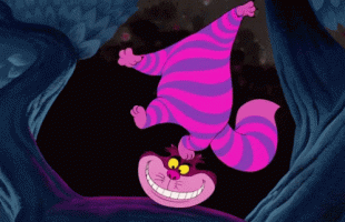 Alice in wonderland cat