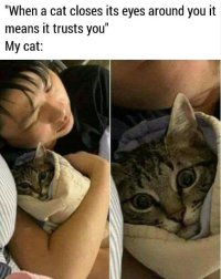 2modn9rlu4i21