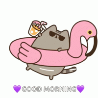 Flooding pusheen