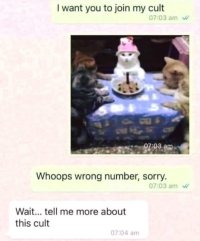 515441271 714008255018140 1032455470318615807 n