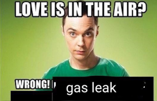 Loveair1