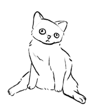 Cat scrungle
