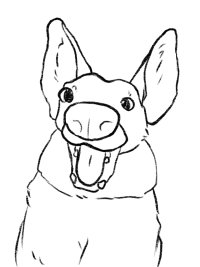 Big smile doggy