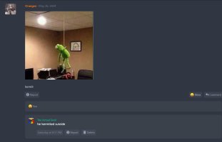 Kermited