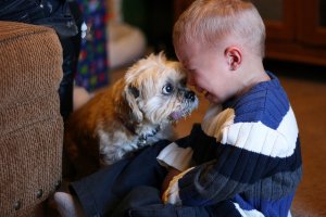 O DOG EMPATHY facebook 2375902723