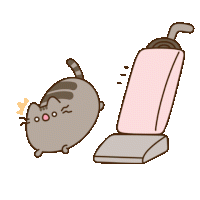 Pusheen pusheen cat