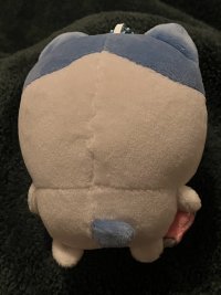 IMG 1768
