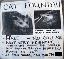 Catfound