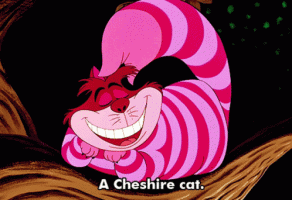 Cheshire cat