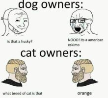 Catowners