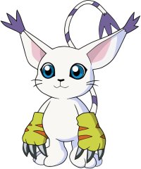 Gatomon digimon 35722414 817 977 3942353383
