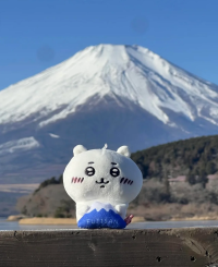 Fujisan limited chiikawa v0 fvjooi8xc8pe1