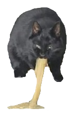Cat2