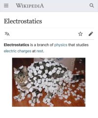 Cat4