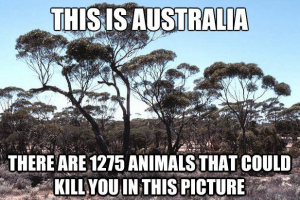 1000028442