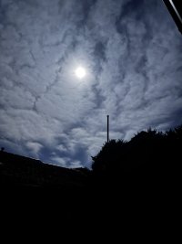 IMG 0939 IMG 0939