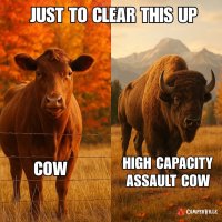 Screenshot 2025 10 07 at 112723AM