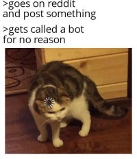 Beep bop im a bot v0 6n1jifpr1psc1